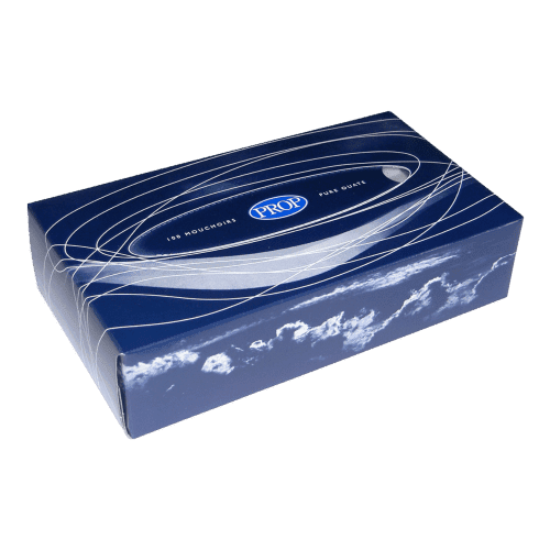 Mouchoirs 'Hôtellerie' PROP blancs 2 plis 20,4 x 20 cm Ecolabel Colis de 40 boites de 100.