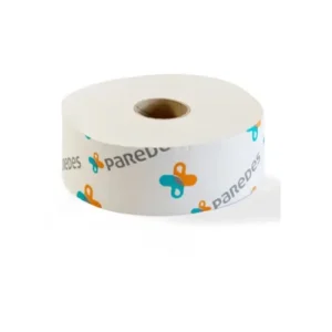 Papier toilette rouleau géant Jumbo blanc 300m Ecolabel Paredes Access