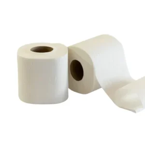 Papier toilette petit rouleau 2 plis 300 feuilles blanc 9,6 x 12,5 cm Paredes Expert